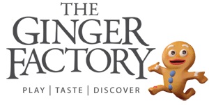 The Ginger Factory Brand Guidelines 5