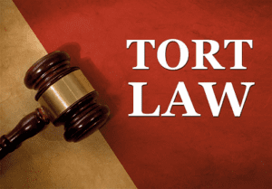 Tort Law 300x209 1